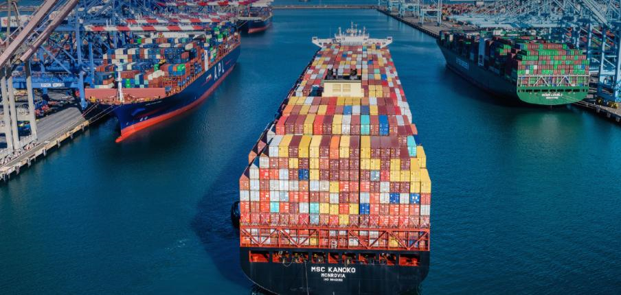 如何評估國際物流軟件公司的技術和服務質量？